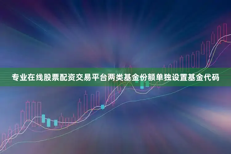 专业在线股票配资交易平台两类基金份额单独设置基金代码