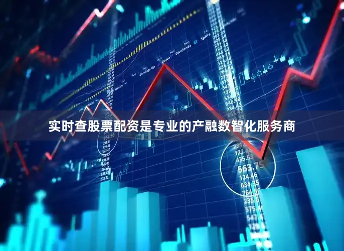 实时查股票配资是专业的产融数智化服务商