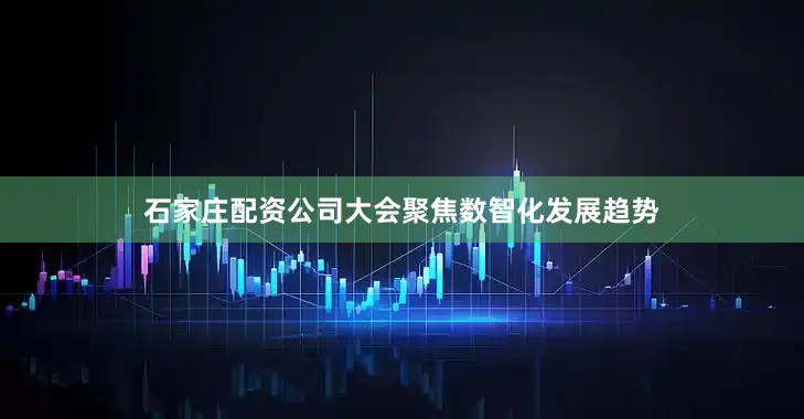 石家庄配资公司大会聚焦数智化发展趋势
