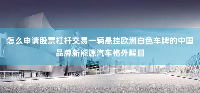 怎么申请股票杠杆交易一辆悬挂欧洲白色车牌的中国品牌新能源汽车格外醒目