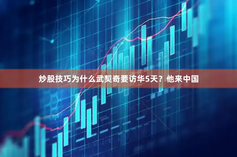 炒股技巧为什么武契奇要访华5天？他来中国