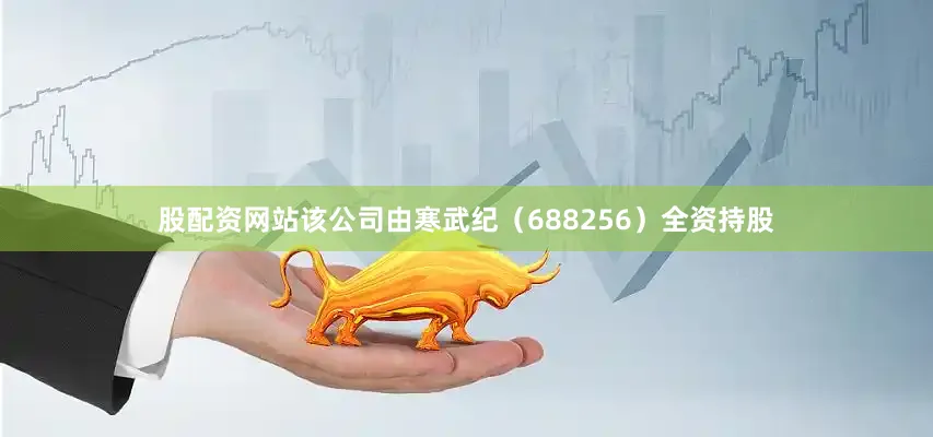 股配资网站该公司由寒武纪（688256）全资持股